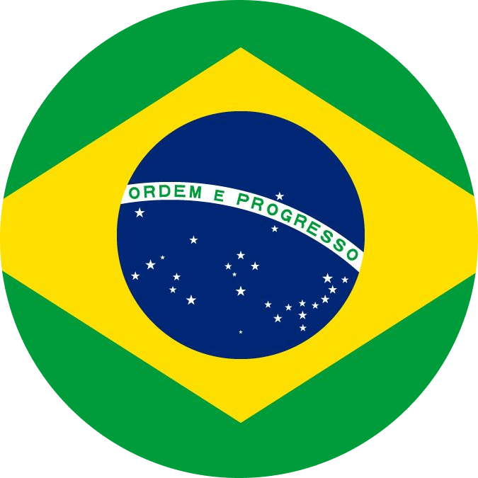 Language Flag
