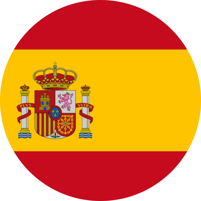 Language Flag
