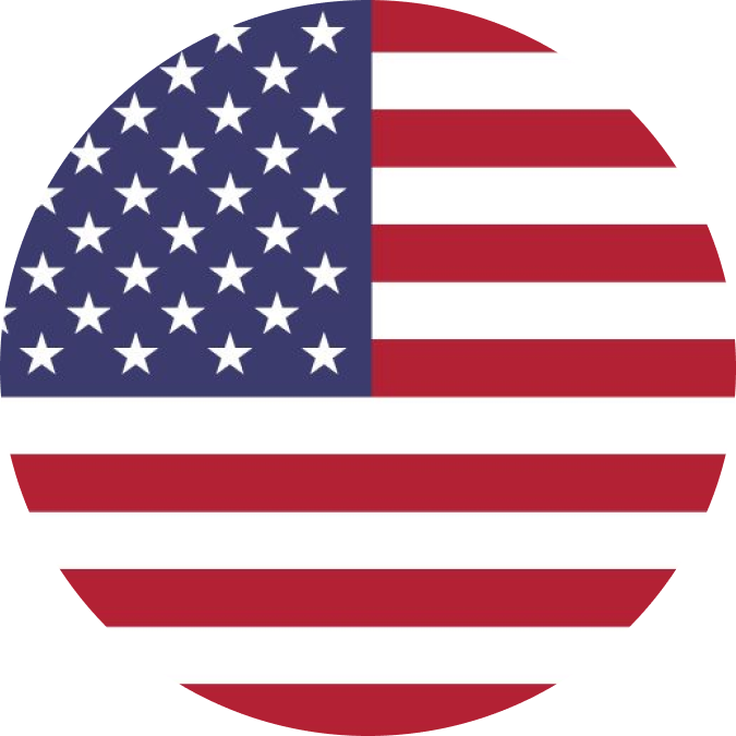 Language Flag